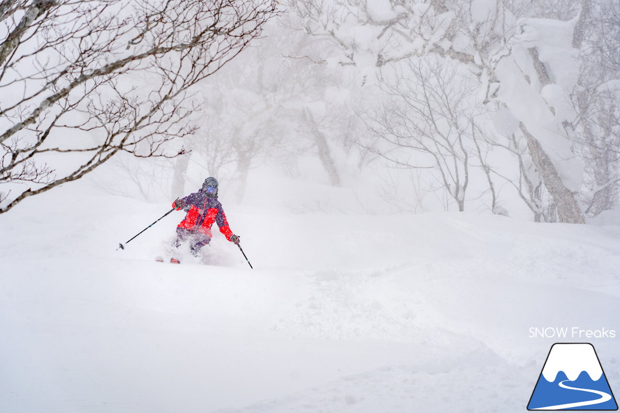 ニセコ東急グラン・ヒラフ｜積雪400cm！ニセコの『PowderSnow』を味わい尽くす、贅沢な時間♪